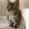 ララちゃんふわふわちゃん サムネイル4