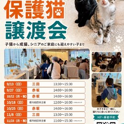 みなとねこ保護猫譲渡会＠赤坂マルチスペース「アゲサロン」