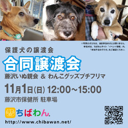 合同譲渡会 藤沢いぬ親会＆わんこグッズプチフリマ サムネイル2