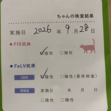 健康です