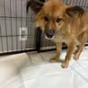 調整中のため、一旦ストップにてお願いします サムネイル5