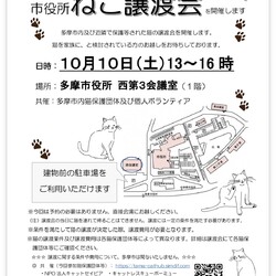 多摩市役所にて保護猫譲渡会開催