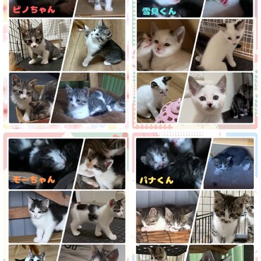 それぞれの可愛さ♡癒されます♡