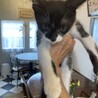 天真爛漫で人が大好きなバッキー君 サムネイル6