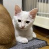 とってもフレンドリーな女子❤️つぼみ
