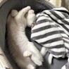 とってもフレンドリーな女子❤️つぼみ サムネイル4