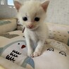 とってもフレンドリーな女子❤️つぼみ サムネイル5