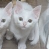 とってもフレンドリーな女子❤️つぼみ サムネイル6