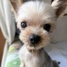 人が大好き♡とっても甘えっ子な男の子 サムネイル4