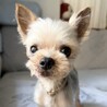 人が大好き♡とっても甘えっ子な男の子 サムネイル6