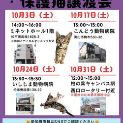 松戸市♡保護猫譲渡会♡NPO法人にゃん2
