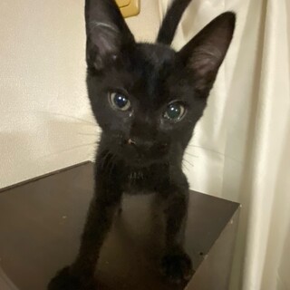 ジャムくん