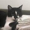 の写真