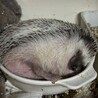 とっても大きくなりました！