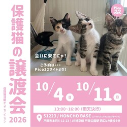 保護猫の譲渡会