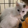 マイケルくん サムネイル2