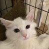 マイケルくん サムネイル3