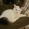 マイケルくん サムネイル4