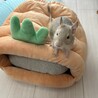 8月生まれメスのデグーちゃん サムネイル5