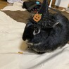 の写真
