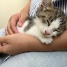 元気な膝乗り美猫♡ 翠（すい）ちゃん サムネイル2