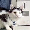 水波 さん
