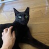 人が好きすぎて困るベタ甘ちゃん❤️