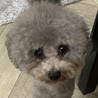 黒髪ゆきまる さん