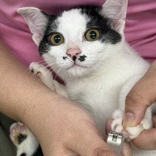 N32　ナギくん