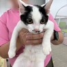 N32　ナギくん サムネイル2