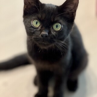 とんでもない可愛さの、むっくん