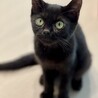 とんでもない可愛さの、むっくん サムネイル2