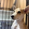 おもちくん サムネイル3