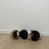いーたろ
