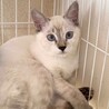 スノーちゃん サムネイル2