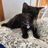 誰かのそばにいたい♡優しいサキちゃん サムネイル5