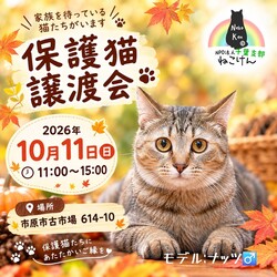 ねこけん千葉支部　譲渡会