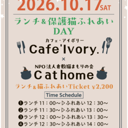 ランチ付保護猫ふれあいDAY（予約制）
