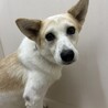 とっても穏やかな【ももよ】ちゃん☆ サムネイル3