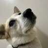 とっても穏やかな【ももよ】ちゃん☆ サムネイル5