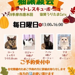 【多摩市】日曜日の午後