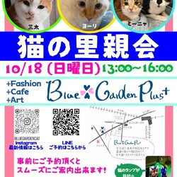 猫の里親会