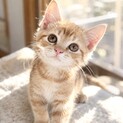 抱っこ待ってます♡甘えん坊のあさひくん
