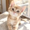 抱っこ待ってます♡甘えん坊のあさひくん