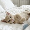 抱っこ待ってます♡甘えん坊のあさひくん サムネイル2