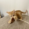 抱っこ待ってます♡甘えん坊のあさひくん サムネイル3