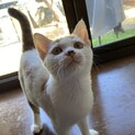 生後4ヶ月の甘えん坊
