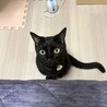 クニマル さん