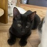 抱っこ大好き背中に乗ってくる、くいーる君