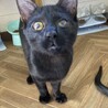  抱っこ大好き背中に乗ってくる、くいーる君 サムネイル6